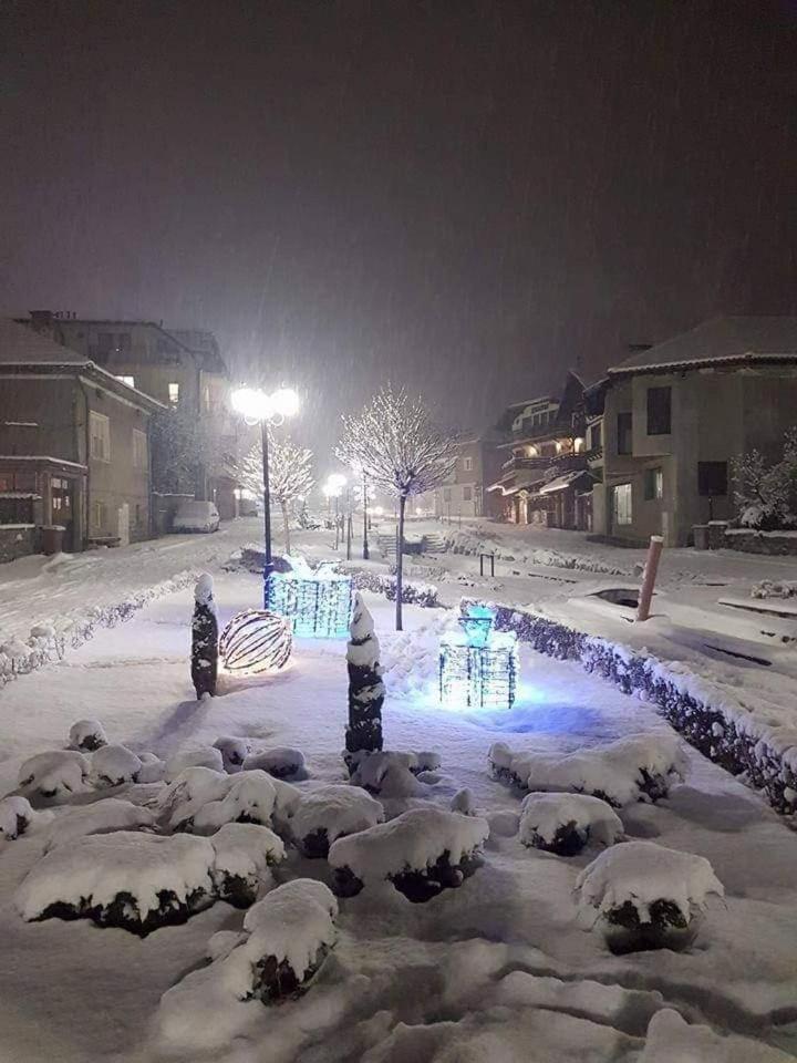 Family Hotel Santo 반스코 외부 사진