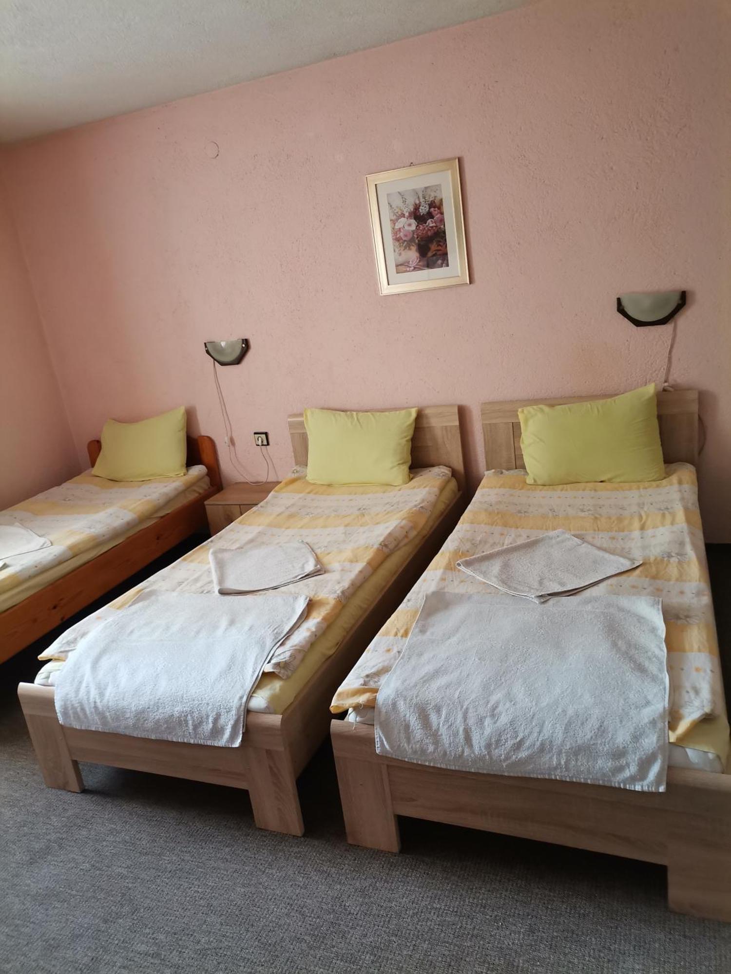 Family Hotel Santo 반스코 외부 사진
